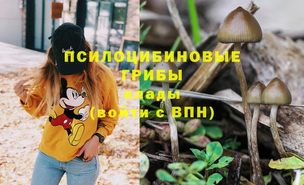 эйфоретик Армянск