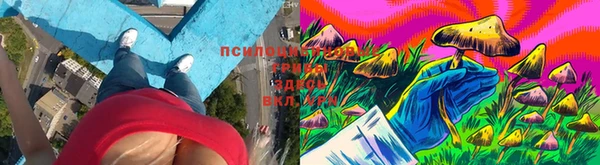 эйфоретик Армянск